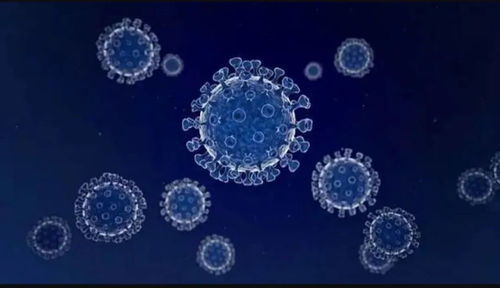任澤平對話尹燁 生命科技、生物技術與健康長壽的未來前景