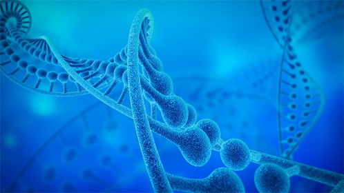 生葆生物首輪融資成功，加速溶瘤細菌管線臨床試驗進程