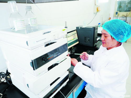德州瑞康生物科技 深耕研發，高端產品暢銷海外